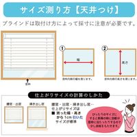 ※低価格※【規格品】アルミブラインド 幅164×高210cm（ホワイト） 4975559592237 1セット トーソー（直送品）