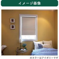 【規格品】遮光ロールスクリーン 幅90×高200cm（アイボリー） 4975559789729 1セット トーソー（直送品）