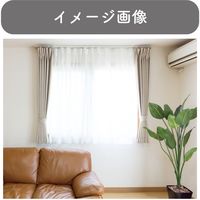 【伸縮】機能性カーテンレール「1.6～3.0m ダブル・木目L」 4975559778884 １セット(５本) トーソー（直送品）