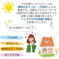 【幅1cm単位】プロ仕様ロールスクリーン幅85cm×高10～80cm＜チェーン式＞ tr4441-85x80-r65 トーソー（直送品）