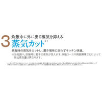 日立　 圧力＆スチーム　IHジャー炊飯器 5.5合炊き  RZ-AX10M R