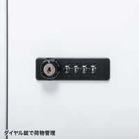 サンワサプライ パーソナルロッカー 2連2段 4人用 ダイヤル錠 幅800×奥行450×高さ1000mm ホワイト PLK-TW4W 1台（直送品）