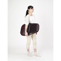 ALINCO（アルインコ）どこでもマッサージャー　モミっくす　Re・フレッシュ　茶　MCR2216（T）