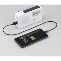 ヤザワコーポレーション 手回し充電ラジオ ライト付 ホワイト BS901WH 1個