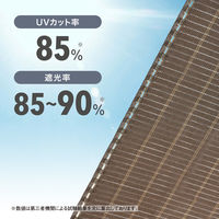 タカショー バルコニーシェード プライム ブラッシュウッド 270×100cm GSP-1027BR5 1枚