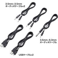 サンワサプライ ワイヤレスマイクシステム 2台セット 充電式 スピーカー MM-MCWSET 1個