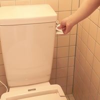 大直 水に溶けるエチケットペーパー 208600015 1セット（直送品）