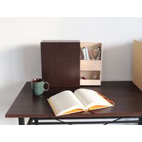 【軒先渡し】ヤマソロ Maronie デスクオーガナイザー 2段 幅100×奥行250×高さ300mm 77-304 1台（直送品）