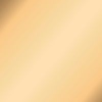 タイプCケーブル (USB-C to C) PD対応 60W 耐久 2m ゴールド MPA-CCPS20PNGD エレコム 1本（直送品）