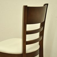 エイ・アイ・エス ロッシシリーズ 棚付きロッシチェア ブラウン RSD-07BR 1脚（直送品）