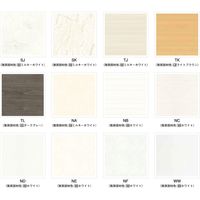 【建築資材・浴室用床シート】フクビ化学工業 樹脂化粧パネル アルパレージ 910mm×2450mm　NF AP2NF 1梱包（2枚入）（直送品）