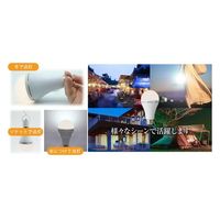 かりはな製作所 蓄電型LED電球 防災電球 電球色 KS-01OR 1個