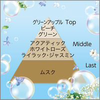 ムシューダ 1年間有効 引き出し・衣装ケース用 マイルドソープの香り 1セット（24個入×2箱） エステー