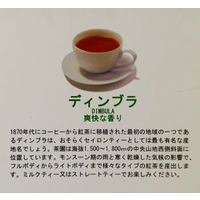 ジャパン・ティー・トレーディング　ロイヤルウォルトン　セイロンティーバッグ　1セット（1箱（100バッグ入）×3）