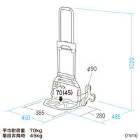 サンワサプライ 折りたたみキャリー(3輪階段用台車) CART-FA6GY 1個（直送品）