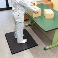 【アウトレット】サンワサプライ 疲労軽減マット(W900×D750mm・硬質) SNC-MAT12 1個（直送品）