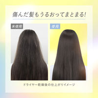 エッセンシャルプレミアムバリアシャンプーグロウ 詰替 340ml 花王