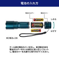 朝日電器 大光量アルミライト1000LM DOP-EP1000 1個