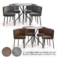 【軒先渡し】B.Bファニシング PLLITE ダイニング 5点セット マーズ ブラウン PLSE0239CEMAR 1セット(5点)（直送品）