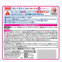キレイキレイ 薬用泡ハンドソープ セット（オートディスペンサー 1個　詰替え業務用２L 1個）