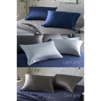 AQUA Silk Collection シルク100% 枕カバー 430×630mm アイボリー 56800008 1枚（直送品）