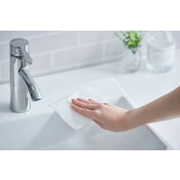 アイリスオーヤマ ペーパータオル 中判 ティッシュ シングル 濡れると99％除菌できるペーパータオル 厚手 JPT-120 1袋（120枚入）