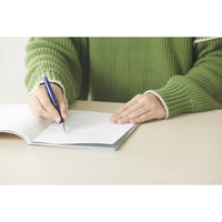 レイメイ藤井 大人の魔法のザラザラ下じき B5 グレー U1256N 1枚