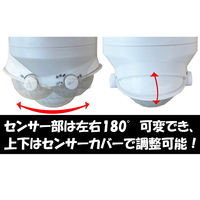 LED ソーラーセンサーライト ソーラーライト 人感 センサー 屋外 防雨夜間 自動点灯 照明 防犯ライト 玄関 2灯式 CLS-200（直送品）