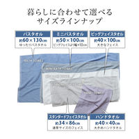 丸中 日本製 ホテルスタイルタオル ハンドタオル オフホワイト HSLd203W999001 1枚