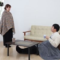 イー・エム・エー 着る電気毛布 歩けるこたつ ひざ掛け 温度8段階調整 切タイマー付 洗濯可能 SR-TP115-DB 1枚（直送品）