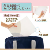 プラス ルーズリーフバインダー パスティ ワイドB5 バニラホワイト 白 98817 2冊