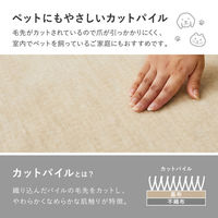 【玄関渡し】 萩原 お医者さんがすすめる　AskDoctors　抗菌プラチナ加工のカーペット グレー 88×176cm（直送品）