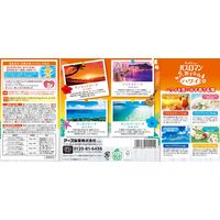 入浴剤 バスロマン 旅するハワイ バスソルト 4種アソート 個包装 1セット（12包入×4箱） アース製薬