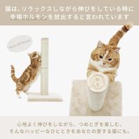 バリバリつめとぎポール 麻 1個 猫壱 爪とぎ
