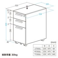 サンワサプライ キャビネット 3段 幅300×奥行534×高さ600mm ホワイト SNW-107W 1台（直送品）