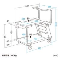 サンワサプライ ステップ付きピッキングカート RAC-FA7 1個（直送品）