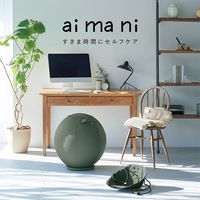 キングジム 台座付きバランスボール AHC030-BE 1個
