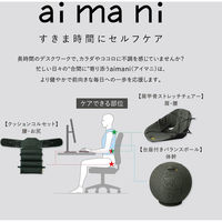 キングジム 肩甲骨ストレッチチェアー AHC020-G 1個（直送品）