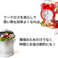 フレッシュ＆セーブ 真空ポンプ ブルー 1個 ツヴィリングJ.A.ヘンケルスジャパン