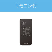 KOIZUMI DCリビング扇風機 KLF30243K 1台