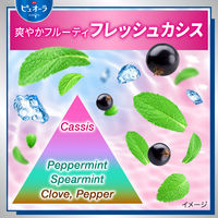 【大容量】 薬用ピュオーラ 歯磨き粉 フレッシュカシス 虫歯・口臭・歯肉炎予防 170g 1本 花王