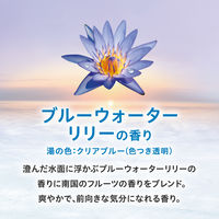 入浴剤 バブ クール オリエンタル スパ 4種アソート メントール配合 透明タイプ 12錠入 1箱 医薬部外品 花王