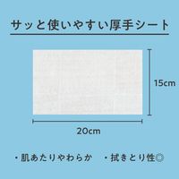 キモチ氷冷シャワーシート（シロクマ） 20枚入り 1セット（1個×3） グローバルプロダクトプランニング 汗拭きシート