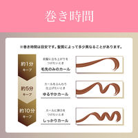 KOIZUMI ホットカーラー 12本タイプ KHCV121P 1個