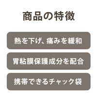 【アウトレット】【限定デザイン】IPクイック錠「LS」 60錠 解熱鎮痛剤中央製薬生理痛頭痛歯痛咽頭痛持ち運びしやすいチャック袋 オリジナル【指定第2類医薬品】