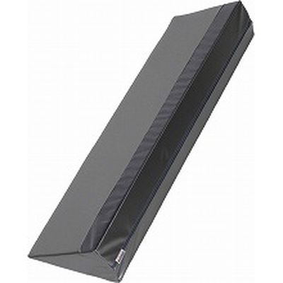 サーティパッドPRO Ag DSP-800 イノアックリビング　介援隊カタログ P0255（直送品）