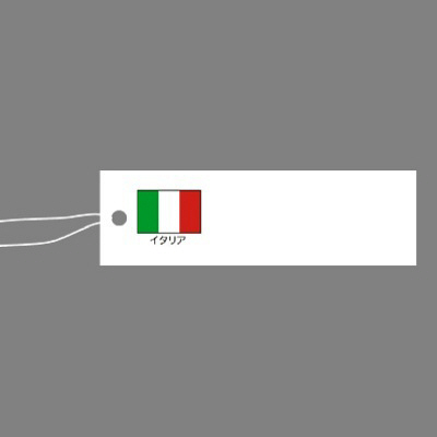 ササガワ タカ印 提札 国旗入 イタリア 18-1003 1箱（500枚入）（取寄