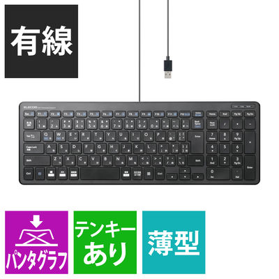 キーボード 有線 薄型 コンパクトサイズ パンタグラフ ブラック TK-FCP097BK 1個（直送品）