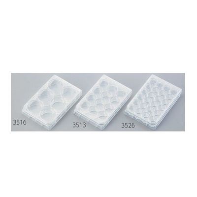 コーニングインターナショナル マルチプルウェルプレート 6ウェル 平底 1箱(1枚×50袋入) 3516 1箱(50枚) 2-2065-01（直送品）