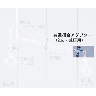 クライミング 常圧蒸留装置用 共通摺合アダプター(2又・減圧用) CL0235-03-10 1個 1-9949-02（直送品）